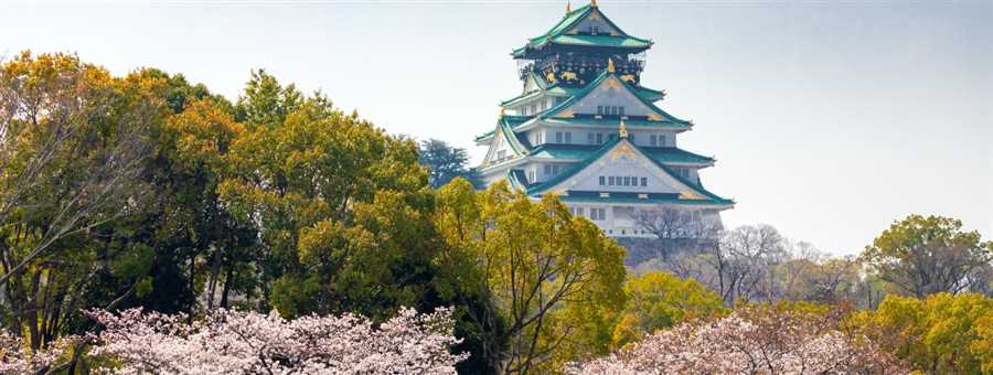 Discover Japan